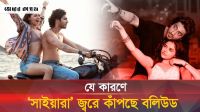 ‘সাইয়ারা’ দেখে কেন এত কান্নাকাটি