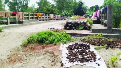 রাস্তার অভাবে অচল রায়গঞ্জের কোটি টাকার সেতু