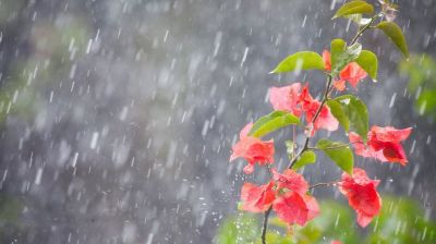 রাজধানীতে বজ্রসহ বৃষ্টির সম্ভাবনা, কমবে গরম