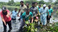 উত্তরায় খাল পরিষ্কার কার্যক্রম: মুহাম্মদ আফাজ উদ্দিনের সক্রিয় অংশগ্রহণ