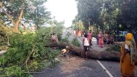ভাঙ্গায় টানা তৃতীয় দিনের মতো মহাসড়ক অবরোধ, যোগাযোগ বিচ্ছিন্ন