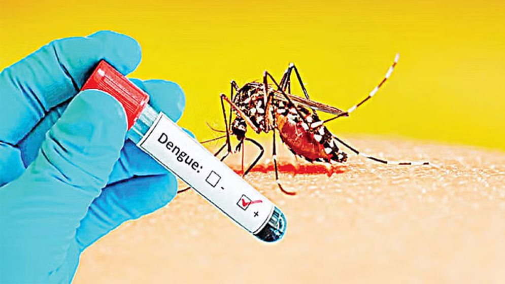 ডেঙ্গুতে আরো ৪ জনের মৃত্যু, ভর্তি ৮০৩