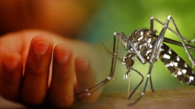 ডেঙ্গুতে আরো ৫ জনের মৃত্যু, হাসপাতালে ভর্তি ১১৩৯