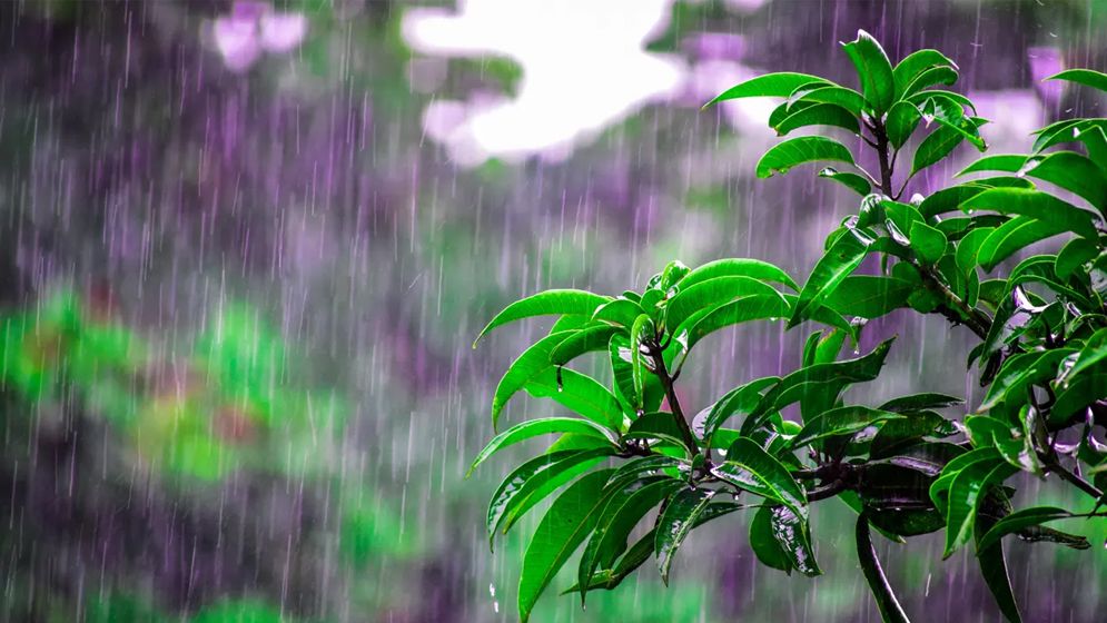 ঢাকায় হালকা বৃষ্টির আভাস, কমবে গরম