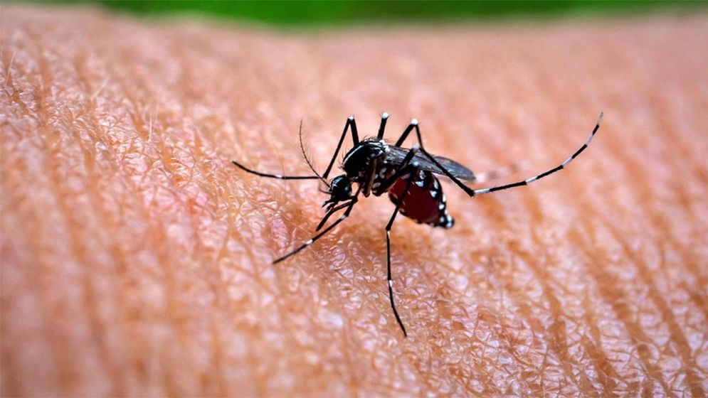 ডেঙ্গুতে মৃত্যু ছাড়ালো ৪০০