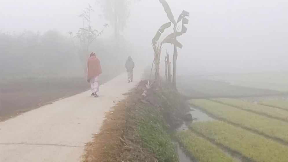তেঁতুলিয়ায় শীতের দাপট, বিপাকে নিম্ন আয়ের মানুষ