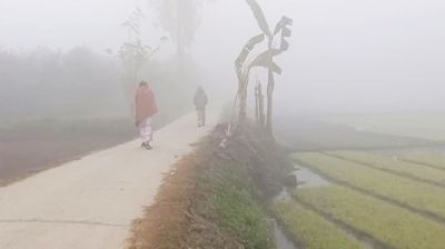 তেঁতুলিয়ায় শীতের দাপট, বিপাকে নিম্ন আয়ের মানুষ