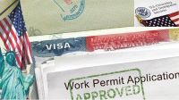 যুক্তরাষ্ট্রে অভিবাসীদের ওয়ার্ক পারমিটে কড়াকড়িতে উদ্বেগ