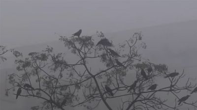 হাড়কাঁপানো শীতে কাবু পঞ্চগড়, তাপমাত্রা ৭.৭ ডিগ্রি