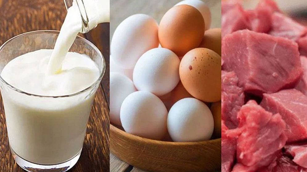 যেসব স্থানে কম দামে মিলবে মাংস, দুধ ও ডিম