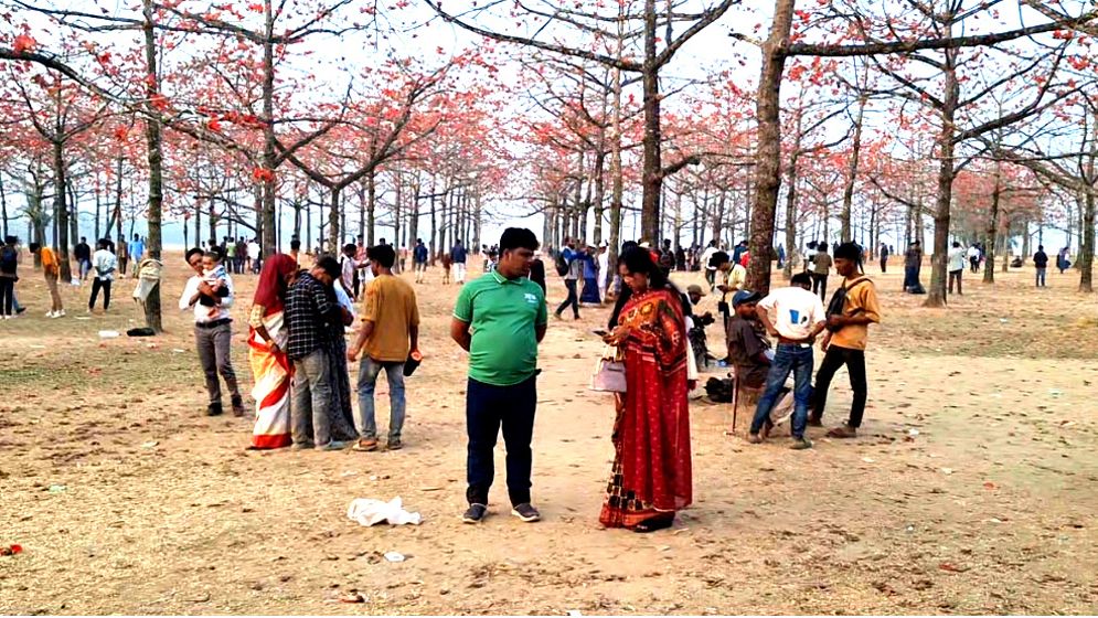  শিমুল বাগানে হাজারও প্রকৃতিপ্রেমীদের ভিড়