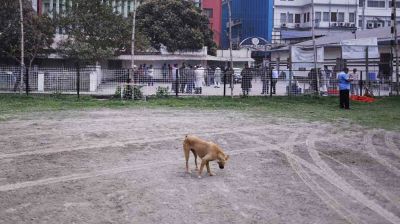বকেয়া বেতনের দাবিতে ধর্মঘটে ফুটবলাররা