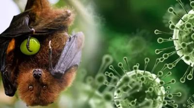বছরের প্রথম মৃত্যু সংবাদ দিলো আইইডিসিআর