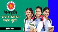 সরকারি উপবৃত্তিতে আবেদনের সুযোগ পাবে মেধাবৃত্তিপ্রাপ্তরাও