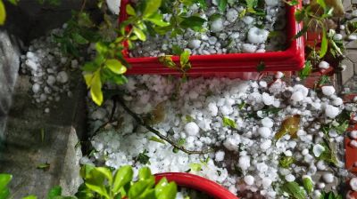 নীলফামারীতে কালবৈশাখী তাণ্ডবে ফসলের ব্যাপক ক্ষতি