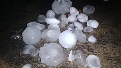 চাটমোহরে শিলাবৃষ্টিতে ফসলের ব্যাপক ক্ষতি