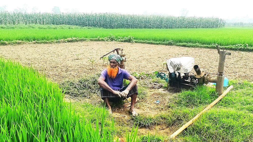 ফসল পুড়ছে সেচের অভাবে, উৎপাদনে বিপর্যয়ের শঙ্কা