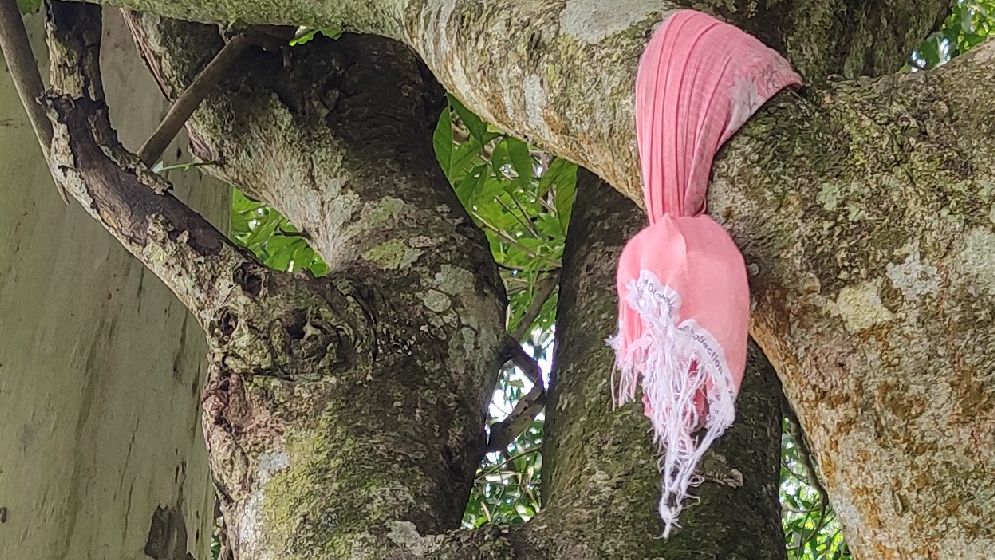 আম গাছে ঝুলন্ত অবস্থায় শিশুর মরদেহ উদ্ধার