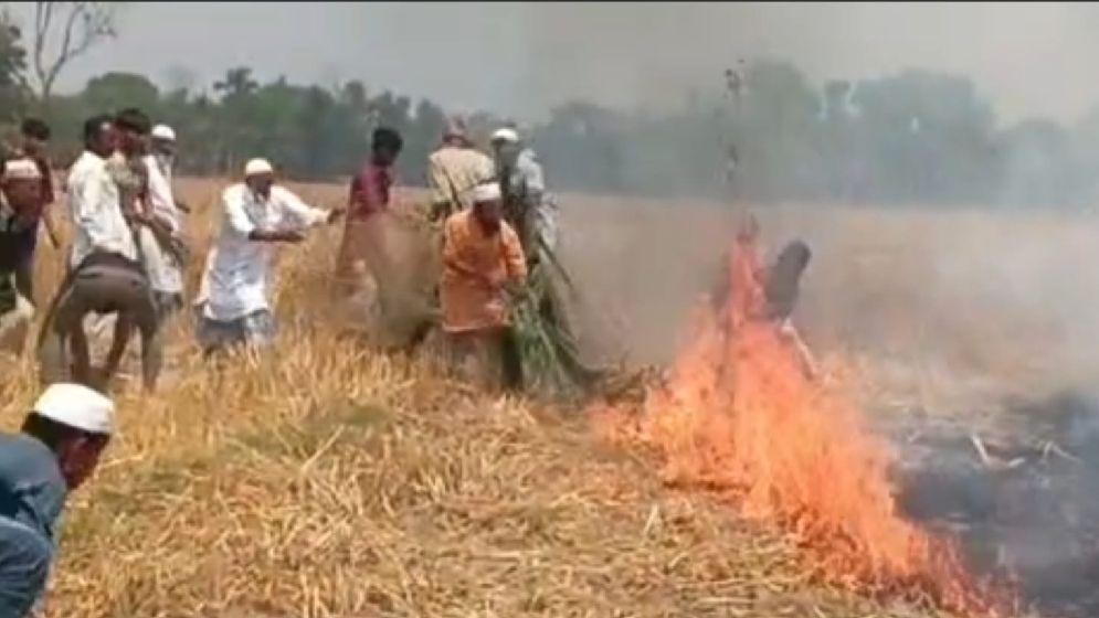 খড় পোড়ানোর আগুনে ২০ বিঘা জমির গম পুড়ে ছাই