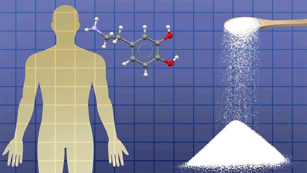 চিনি ছাড়লেই ৭ দিনে বদলে যাবে শরীর ও মস্তিষ্ক!