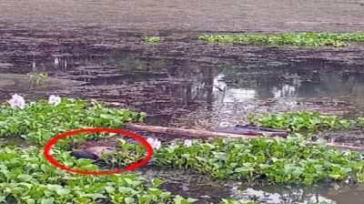 নদী থেকে অজ্ঞাত মরদেহ উদ্ধার