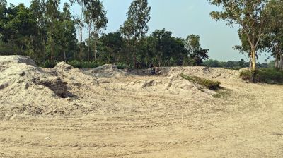 নিলামে গিয়ে দেখা গেলো বালু উধাও