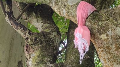 আম গাছে ঝুলন্ত অবস্থায় শিশুর মরদেহ উদ্ধার