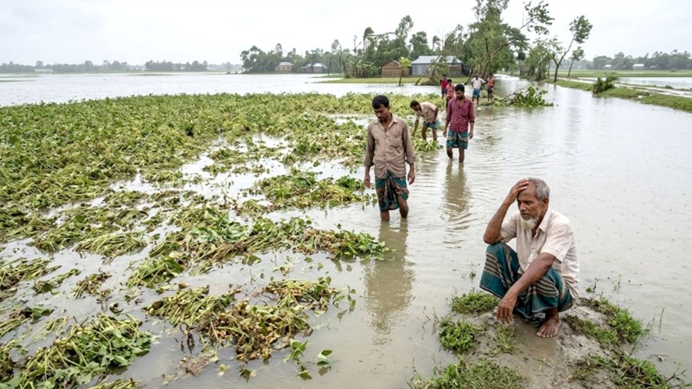 টানা বৃষ্টিতে বিপাকে কৃষক, ২৬ কোটি টাকার ফসলের ক্ষতি
