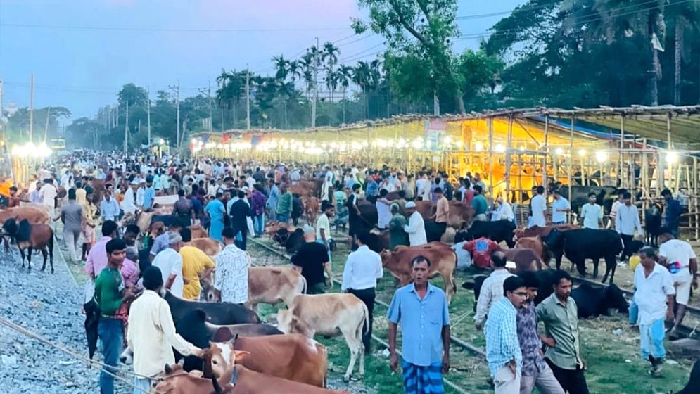 রেললাইনের ওপর ঝুঁকিপূর্ণ পশুর হাট