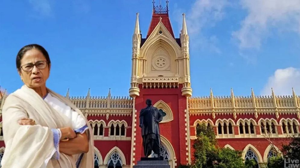 হারের পর ‘বিচার’ পেতে আদালতে যেতে চান মমতা