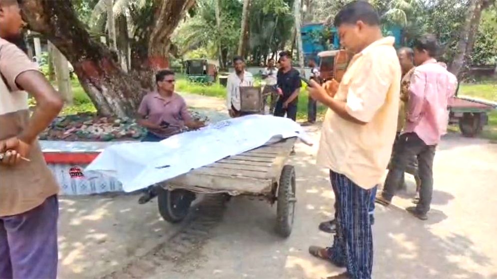 নলছিটিতে ট্রলি উল্টে প্রাণ গেল মালিকের