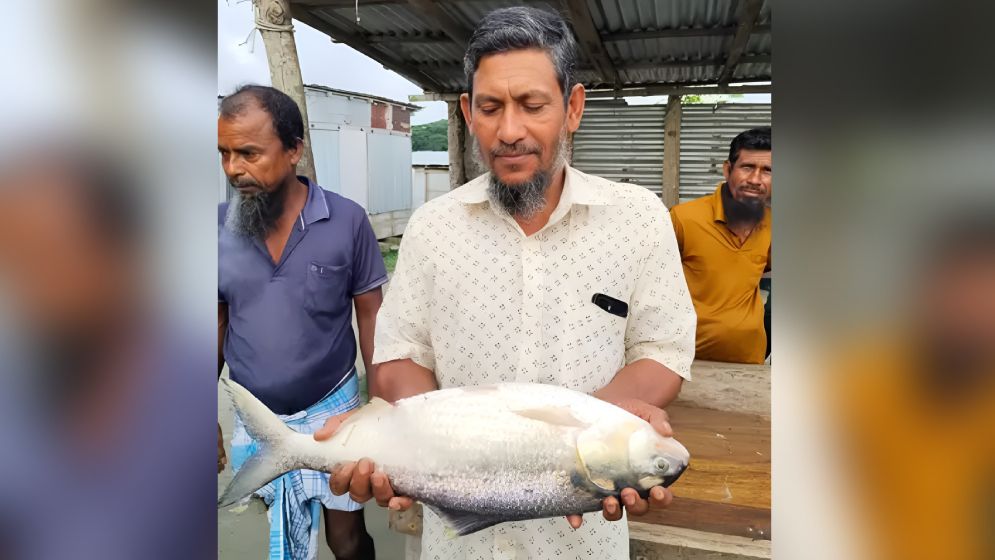 এক ইলিশেই বাজিমাত, রেকর্ড দামে বিক্রি