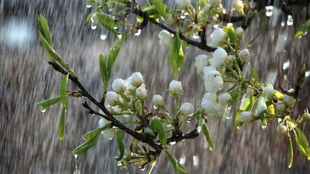 টানা ৫ দিন সারাদেশে ঝোড়োবৃষ্টির আভাস