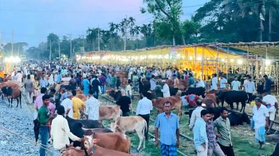 রেললাইনের ওপর ঝুঁকিপূর্ণ পশুর হাট