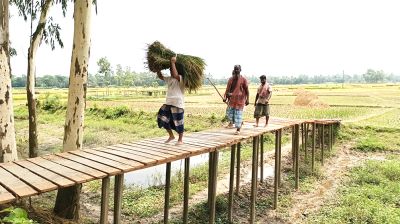 ফসল পারাপারের দুর্ভোগ কমাতে বিএনপি নেতার উদ্যোগ
