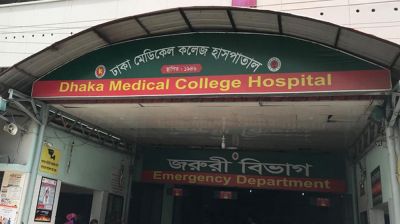 কোরবানি দিতে গিয়ে আহত, ঢামেকে ৮০ জন