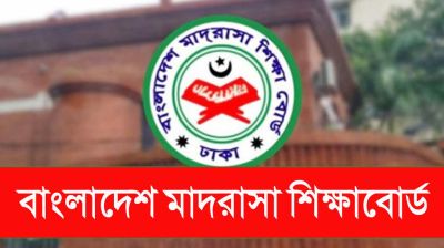 আলিম পরীক্ষা ২ জুলাই শুরু, মানতে হবে যেসব নির্দেশনা