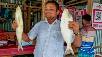 ভোলায় জোড়া ইলিশ বিক্রি হলো ১০ হাজারে