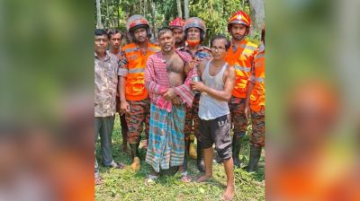 গাছে উঠে অজ্ঞান যুবক, ফায়ার সার্ভিসের সফল উদ্ধার
