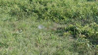পাহাড়ের টিলায় মিললো মাথার খুলি