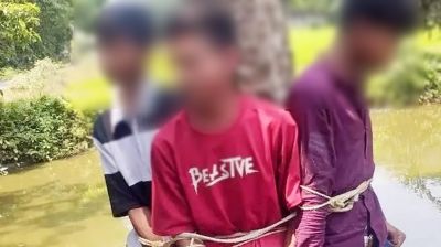 বাজি ধরে কলা চুরি, তিন বন্ধুকে গাছে বেঁধে রাখলেন স্থানীয়রা