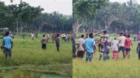 বাংলাদেশি গরু ধরে নিয়ে যাওয়ার সময় বিএসএফকে প্রতিহত করল এলাকাবাসী