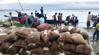 ঝড়ের তাণ্ডব, মাঝনদীতে ৪৬৭ বস্তা ভিজিএফের চালসহ ২ নৌকাডুবি