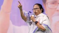 ওয়েট অ্যান্ড সি...আমরা বাঘের বাচ্চার মতো লড়াই করে যাব: মমতা
