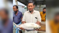 এক ইলিশেই বাজিমাত, রেকর্ড দামে বিক্রি