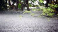 স্বস্তির বৃষ্টিতে ভিজল রাজধানী