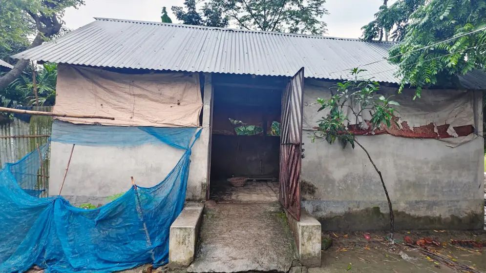 এক রাতে তিন কৃষকের সাত গরু চুরি, আতঙ্কে খামারিরা