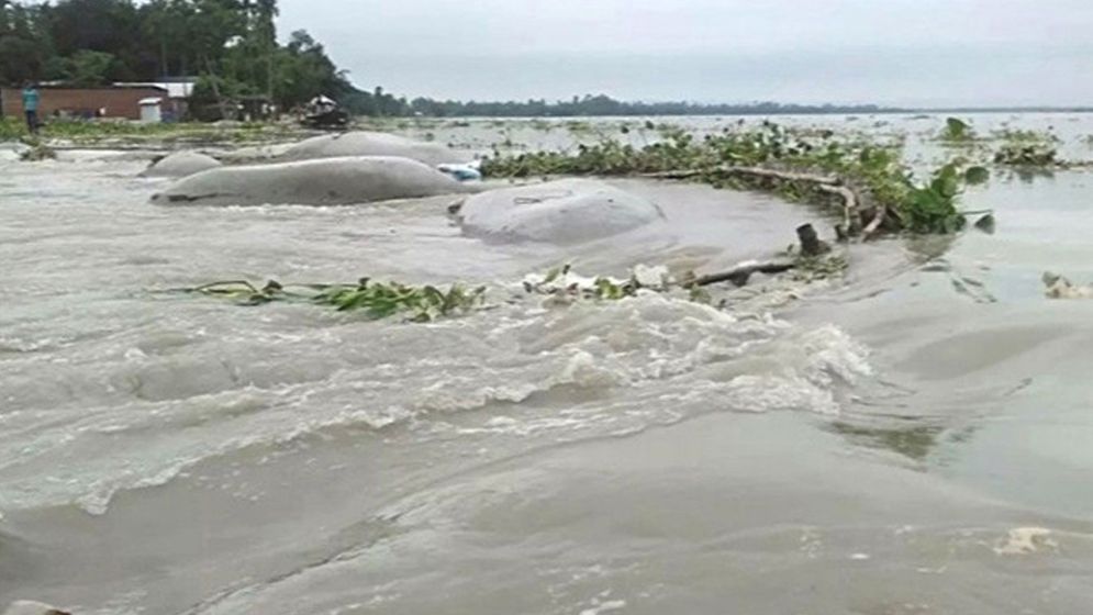 উত্তর ও উত্তর-পূর্বাঞ্চলে বন্যার আশঙ্কা