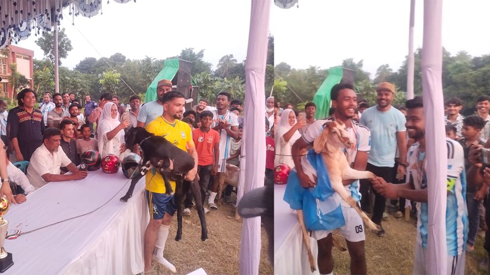 খাসি নিতে ব্রাজিল-আর্জেন্টিনার লড়াই, মোরগ পেলেন সেরারা