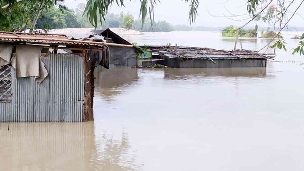 কুড়িগ্রামে বাঁধ ভেঙে ২০ গ্রাম প্লাবিত, পানিবন্দি হাজারো মানুষ